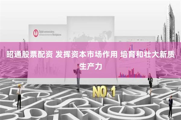 昭通股票配资 发挥资本市场作用 培育和壮大新质生产力
