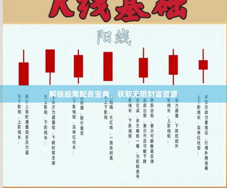 解锁股票配资宝典，获取无限财富资源